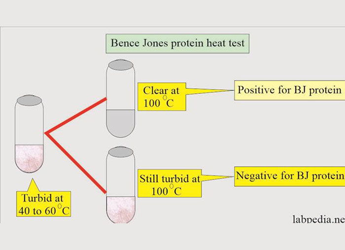 Biochemistry Past Mcq Discussion Focus Dentistry