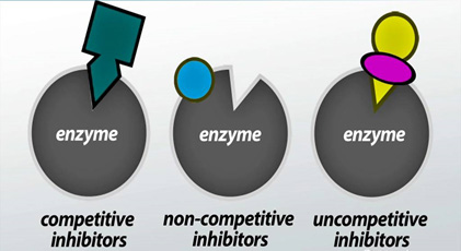 enzyms-2-8-2