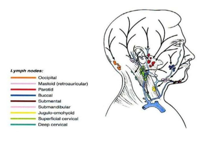 SCALP MCQ - Focus Dentistry