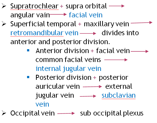 venous