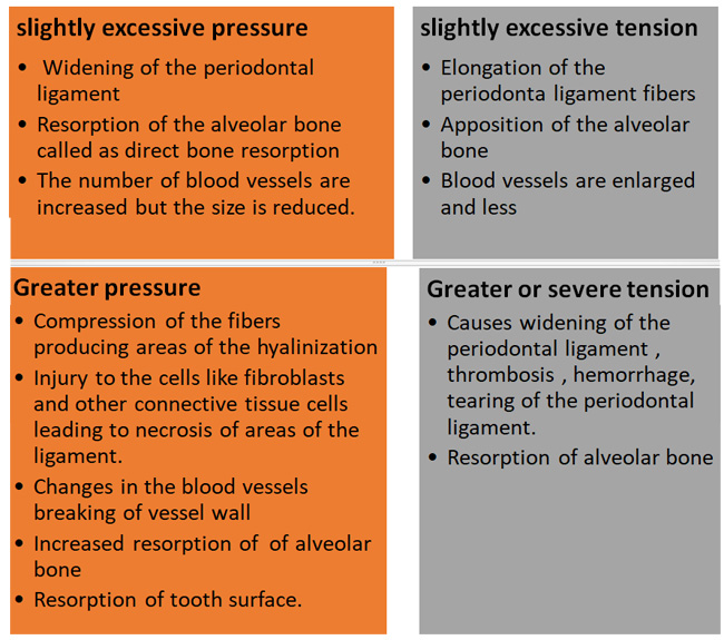 Trauma-from-Occlusion