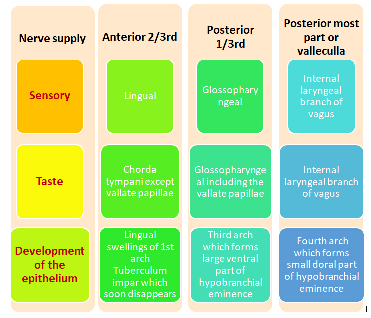 uture-dentistry-tungue