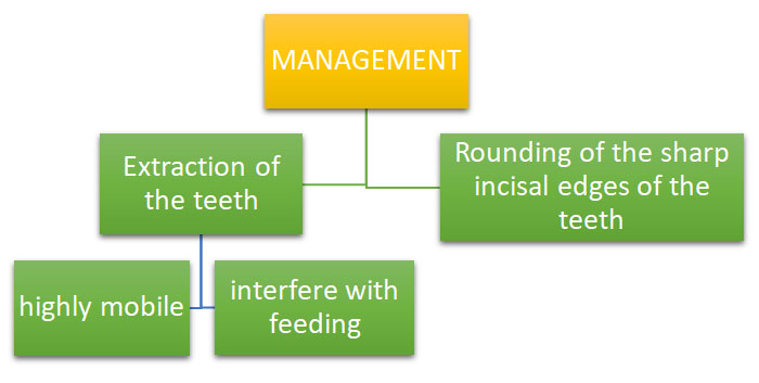 Natal-And-Neonatal-Teeth-neet-MDS-online-coaching