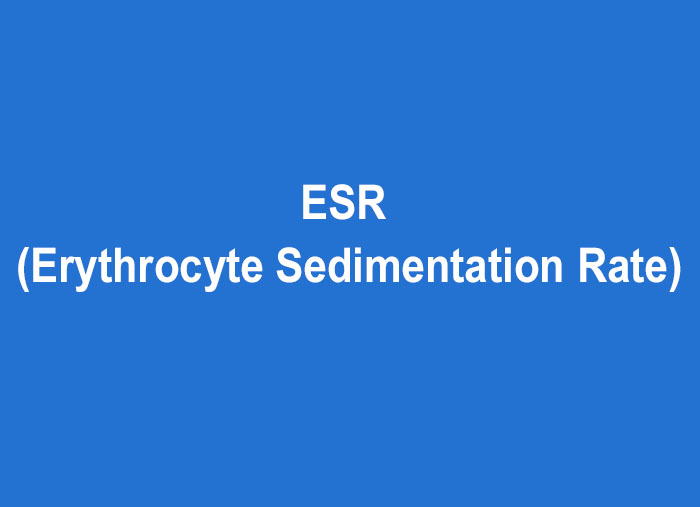 Erythrocyte Sedimentation Rate (ESR)