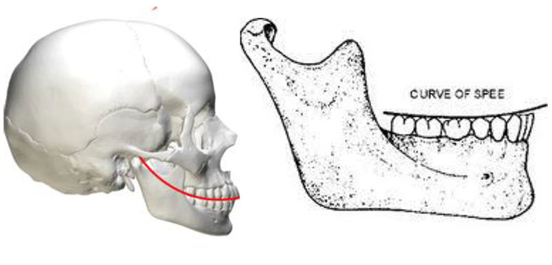 PAST PROSTHODONTICS MCQ DISCUSSION PART 2_1