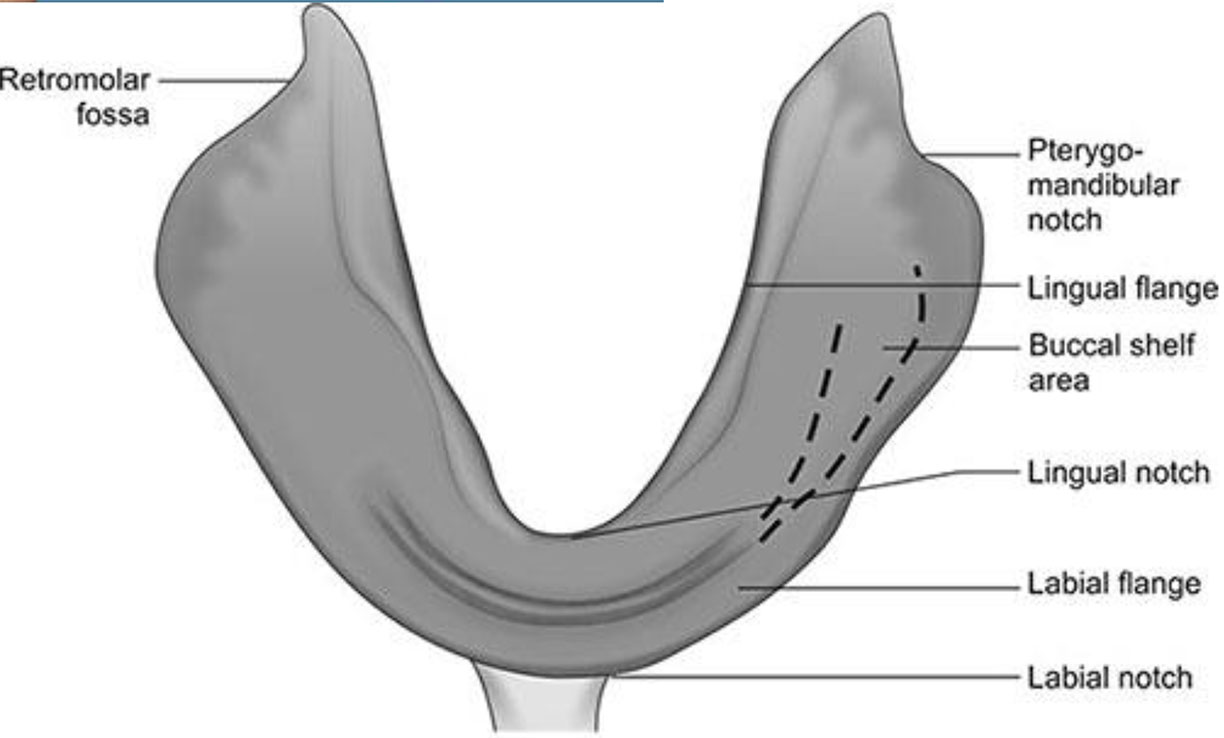 PAST PROSTHODONTICS MCQ DISCUSSION PART 2_3