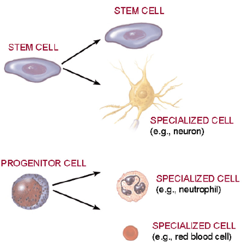 PHYSIOLOGY MCQ DISSCUSSION