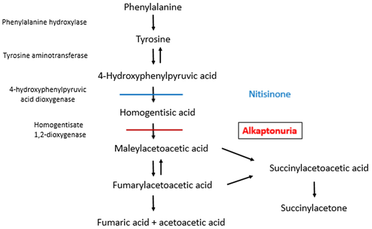 ALKAPTONURIA_10