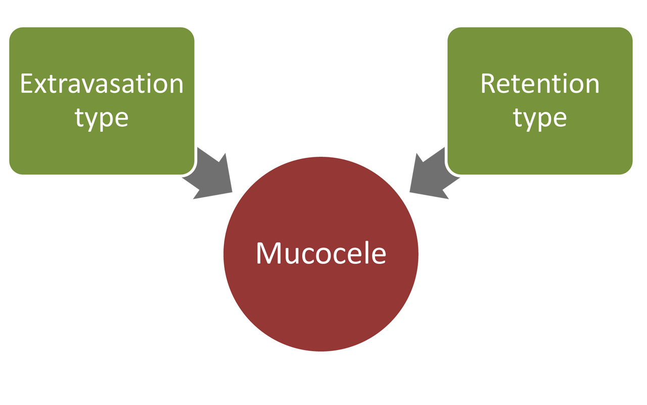 MUCOCELE_2