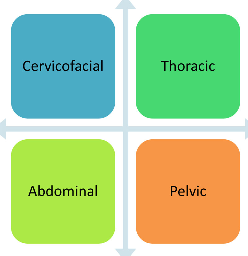 ACTINOMYCOSIS_3