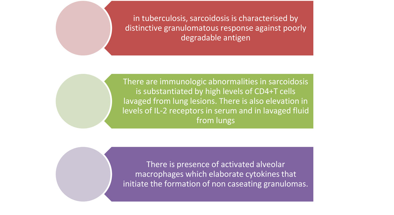 SARCOIDOSIS_2