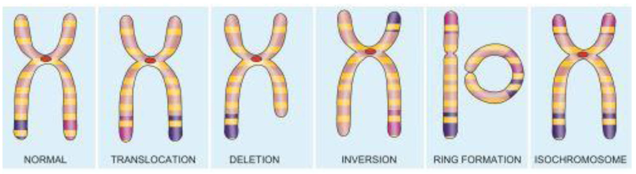 CYTOGENETIC_Structural Abnormalities