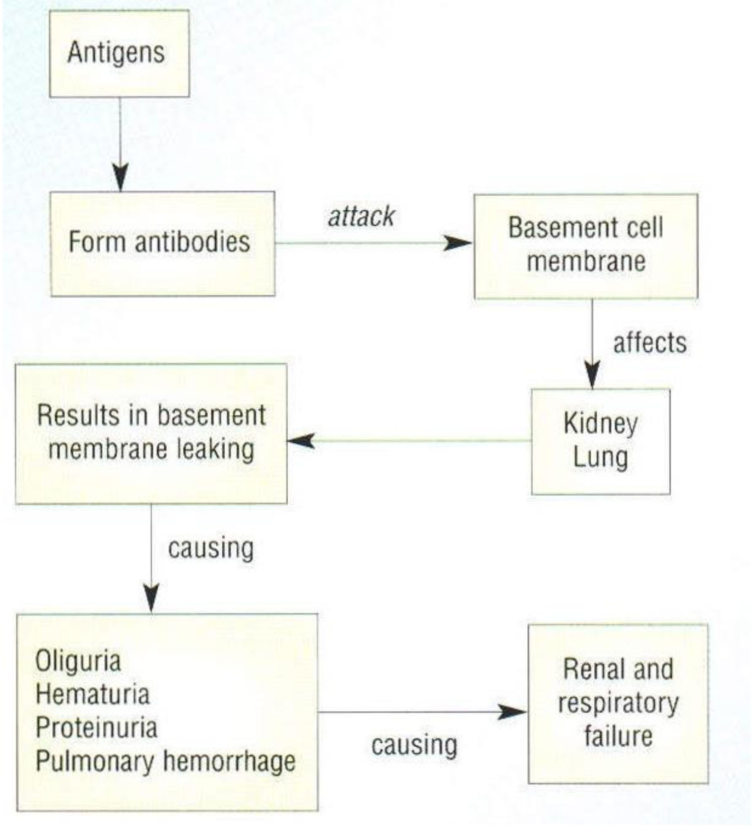 GOODPASTURE SYNDROME_Pathophysiology