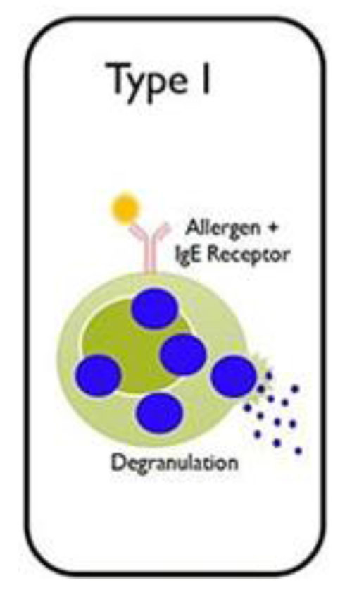 Type I Anaphylactic atopic